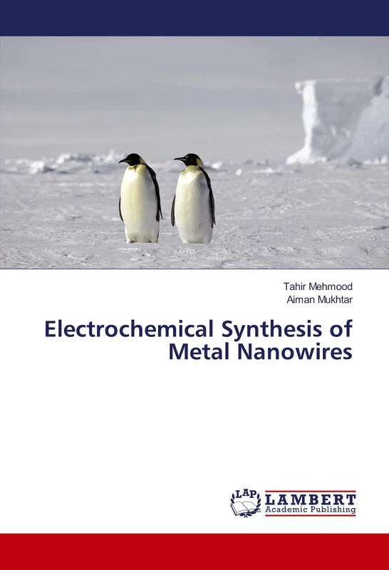 Electrochemical Synthesis of Metal Nanowires - Image 1