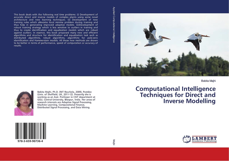 Computational Intelligence Techniques for Direct and Inverse Modelling