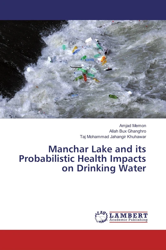 Manchar Lake and its Probabilistic Health Impacts on Drinking Water - Image 1