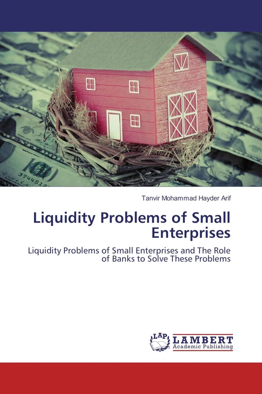 Liquidity Problems of Small Enterprises: Liquidity Problems of Small Enterprises and The Role of Banks to Solve These Problems - Image 1