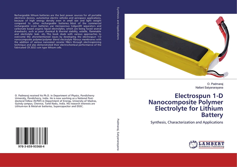 Electrospun 1-D Nanocomposite Polymer Electrolyte for Lithium Battery: Synthesis, Characterization and Applications