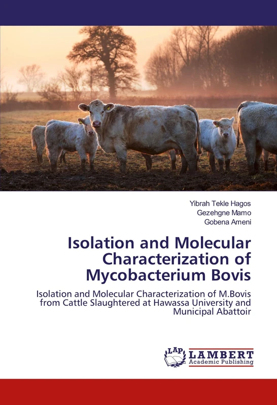 Isolation and Molecular Characterization of Mycobacterium Bovis: Isolation and Molecular Characterization of M.Bovis from Cattle Slaughtered at Hawassa University and Municipal Abattoir - Image 1