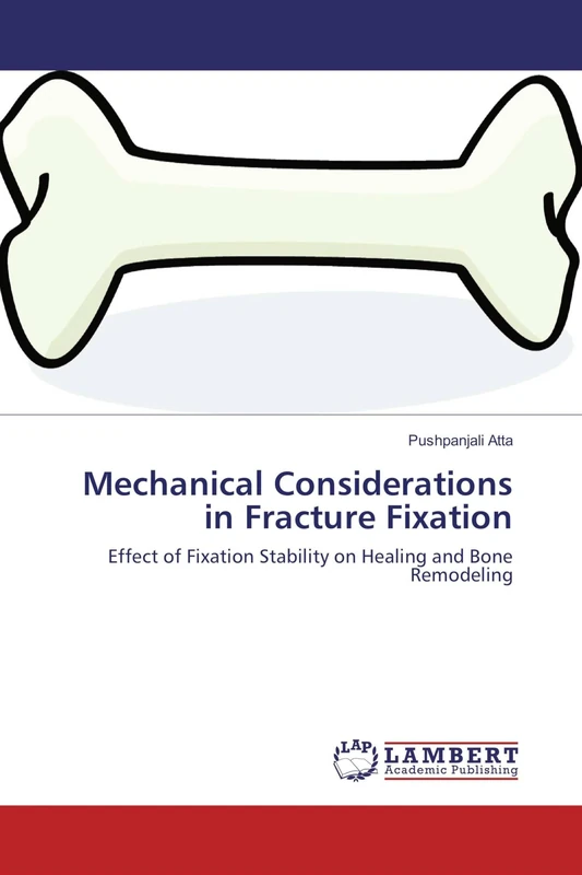 Mechanical Considerations in Fracture Fixation: Effect of Fixation Stability on Healing and Bone Remodeling