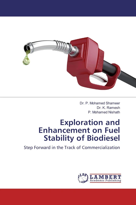 Exploration and Enhancement on Fuel Stability of Biodiesel: Step Forward in the Track of Commercialization
