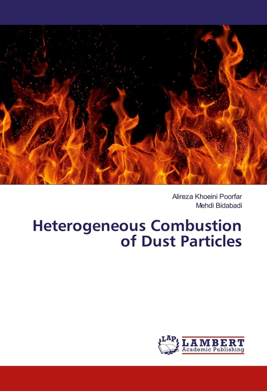 Heterogeneous Combustion of Dust Particles
