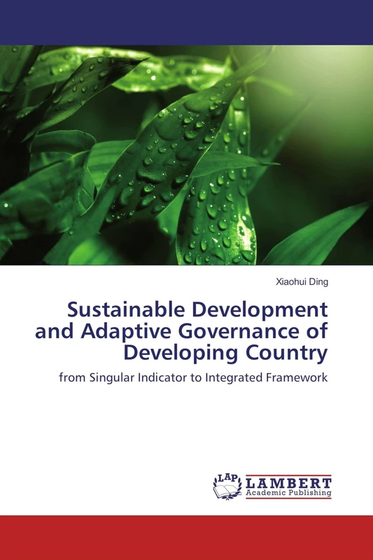 Sustainable Development and Adaptive Governance of Developing Country: from Singular Indicator to Integrated Framework