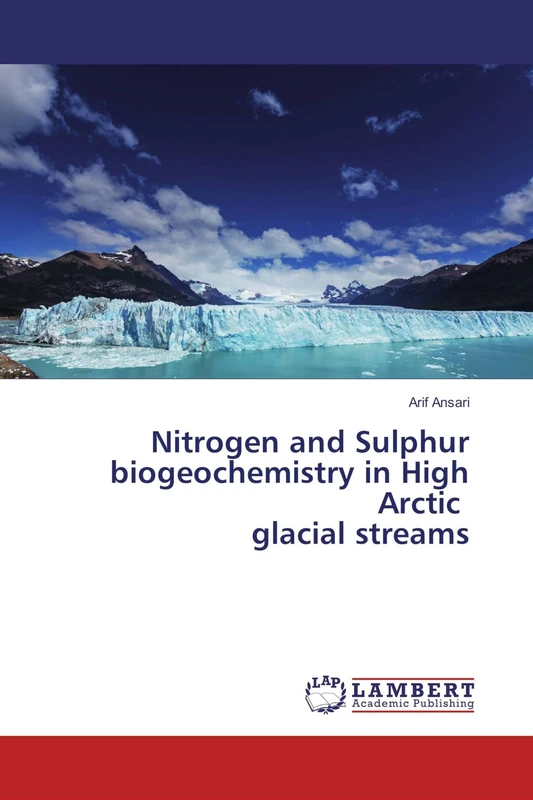 Nitrogen and Sulphur biogeochemistry in High Arctic glacial streams