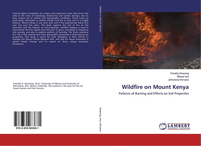 Wildfire on Mount Kenya: Patterns of Burning and Effects on Soil Properties