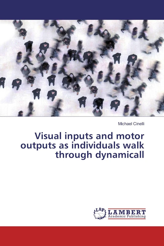 Visual inputs and motor outputs as individuals walk through dynamicall - Image 1