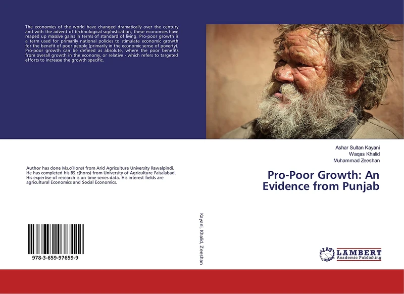 Pro-Poor Growth: An Evidence from Punjab - Image 1