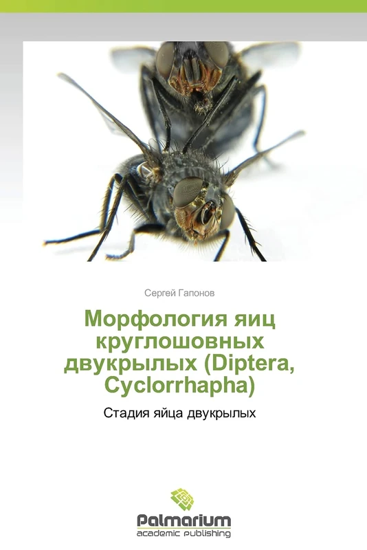 Morfologiya yaits krugloshovnykh dvukrylykh (Diptera, Cyclorrhapha): Stadiya yaytsa dvukrylykh: Stadiq qjca dwukrylyh - Image 1