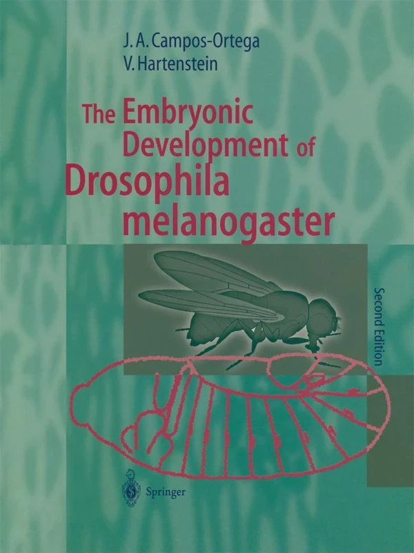 The Embryonic Development of Drosophila melanogaster - Image 1