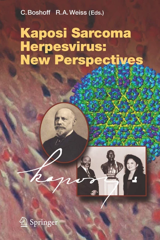 Kaposi Sarcoma Herpesvirus: New Perspectives: 312 (Current Topics in Microbiology and Immunology, 312)