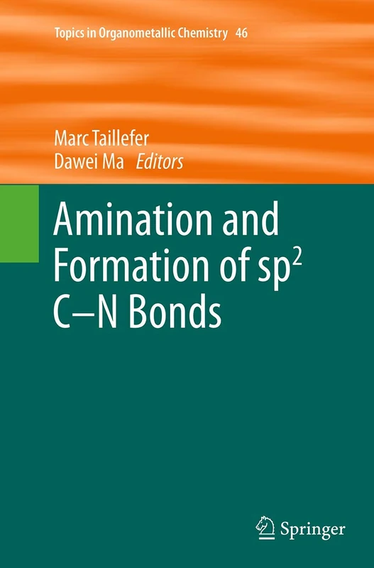 Amination and Formation of sp2 C-N Bonds: 46 (Topics in Organometallic Chemistry)