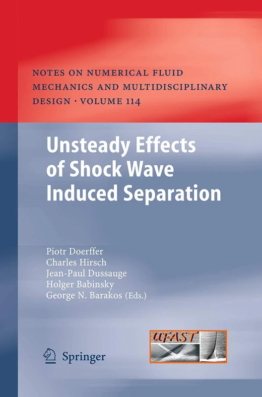 Unsteady Effects of Shock Wave induced Separation: 114 (Notes on Numerical Fluid Mechanics and Multidisciplinary Design)