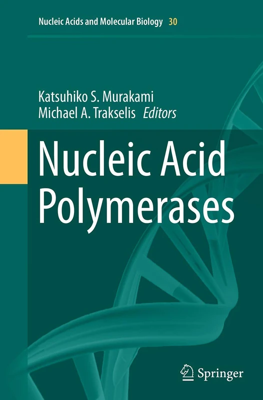 Nucleic Acid Polymerases: 30 (Nucleic Acids and Molecular Biology, 30)