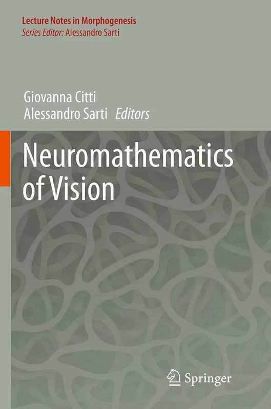 Neuromathematics of Vision (Lecture Notes in Morphogenesis) - Image 1