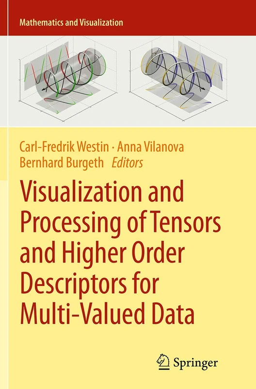 Springer - Visualization and Processing of Tensors Book