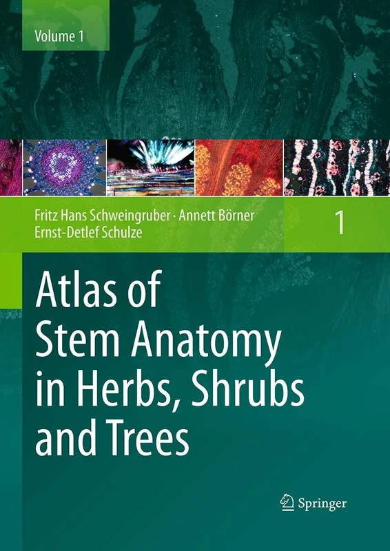 Atlas of Stem Anatomy in Herbs, Shrubs and Trees: Volume 1