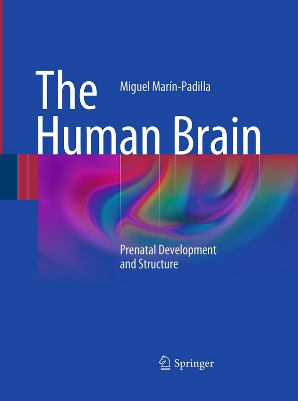 The Human Brain: Prenatal Development and Structure