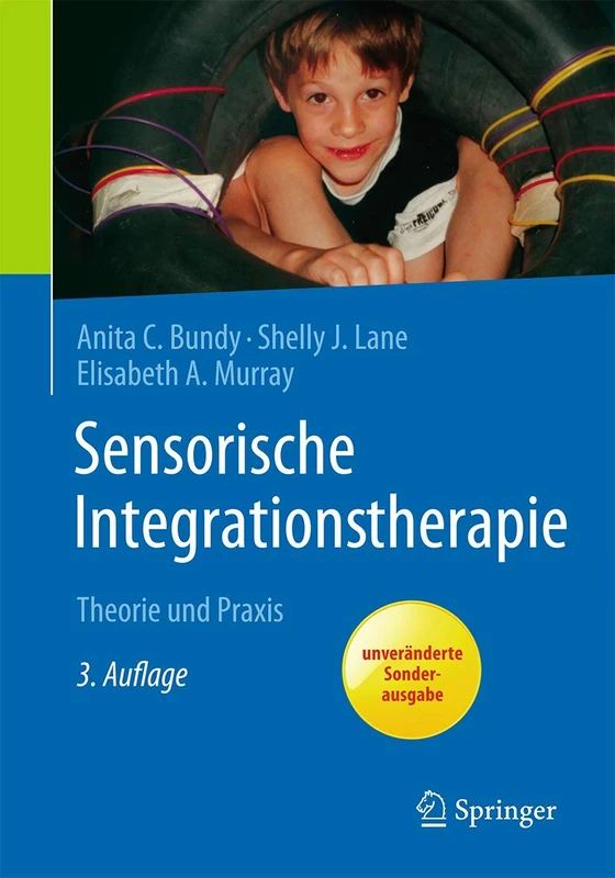 Sensorische Integrationstherapie: Theorie und Praxis - Image 1