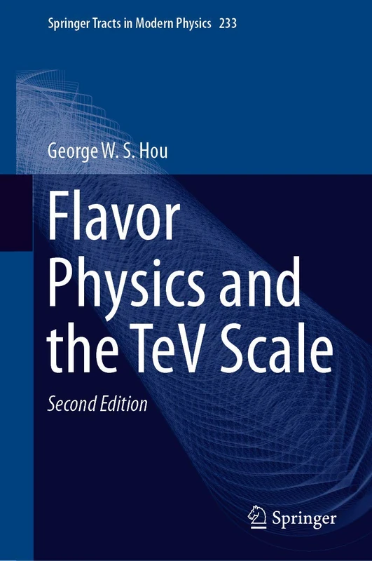 Flavor Physics and the TeV Scale: 233 (Springer Tracts in Modern Physics, 233)