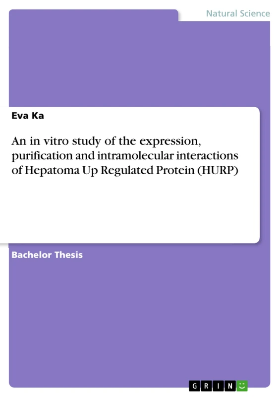 An in vitro study of the expression, purification and intramolecular interactions of Hepatoma Up Regulated Protein (HURP) - Image 1