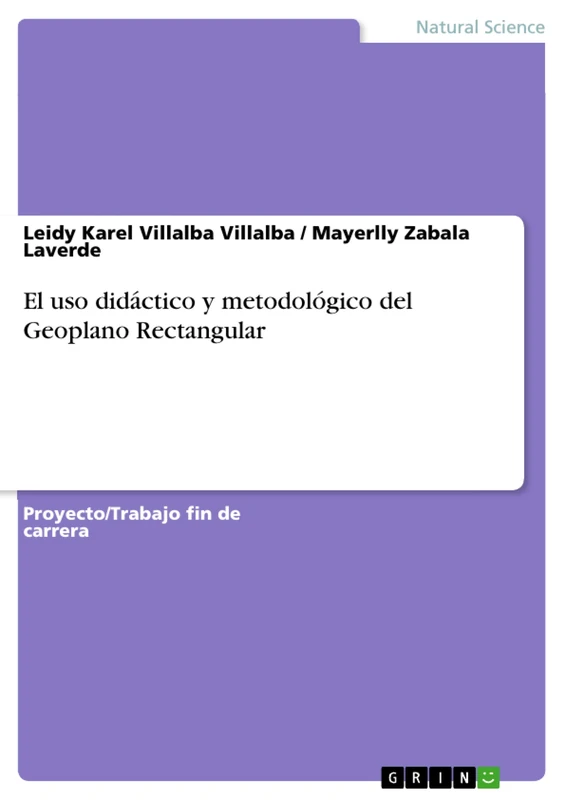 El uso didáctico y metodológico del Geoplano Rectangular - Image 1