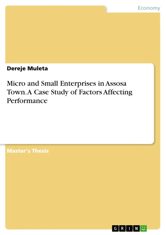 Micro and Small Enterprises in Assosa Town. A Case Study of Factors Affecting Performance