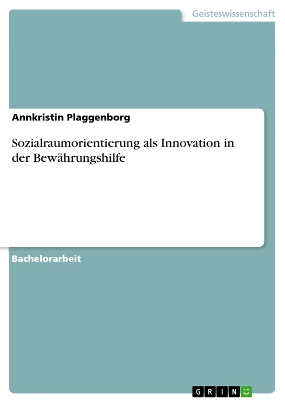 Sozialraumorientierung als Innovation in der Bewährungshilfe - Image 1