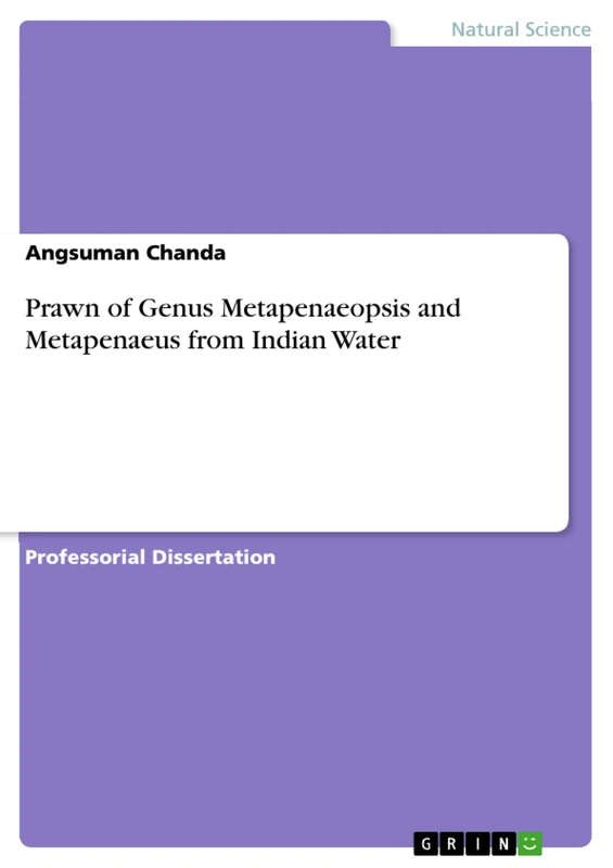 Prawn of Genus Metapenaeopsis and Metapenaeus from Indian Water - Image 1