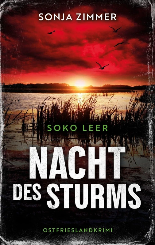 Nacht des Sturms: Ein fesselnder Ostfrieslandkrimi