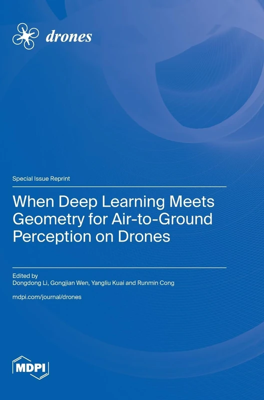 When Deep Learning Meets Geometry for Air-to-Ground Perception on Drones