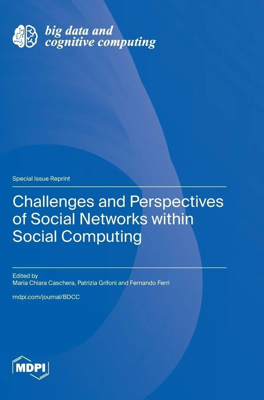 Challenges and Perspectives of Social Networks within Social Computing