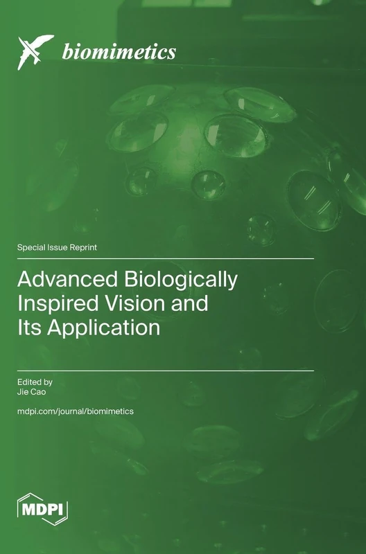 Advanced Biologically Inspired Vision and Its Application - Image 1