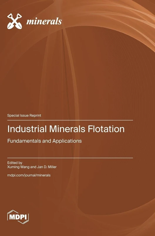 Industrial Minerals Flotation: Fundamentals and Applications
