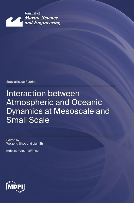 Interaction between Atmospheric and Oceanic Dynamics at Mesoscale and Small Scale - Image 1