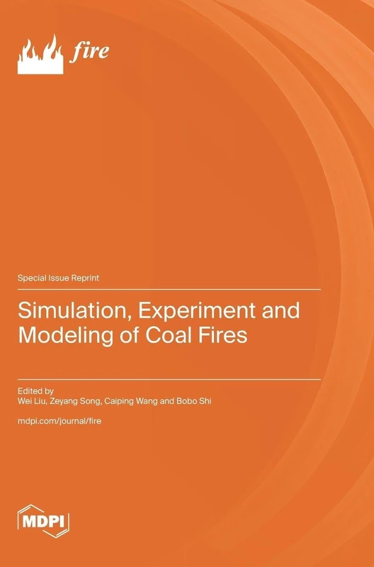 Simulation, Experiment and Modeling of Coal Fires - Image 1