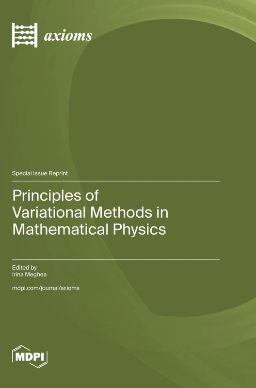 Principles of Variational Methods in Mathematical Physics