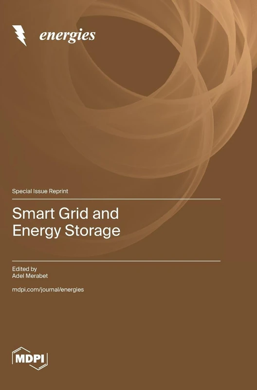 Smart Grid and Energy Storage