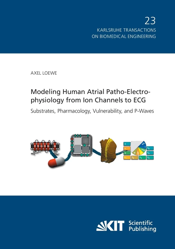 Modeling Human Atrial Patho-Electrophysiology from Ion Channels to ECG - Substrates, Pharmacology, Vulnerability, and P-Waves
