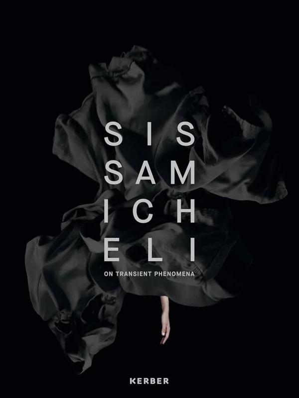 On Transient Phenomena: Sissa Micheli