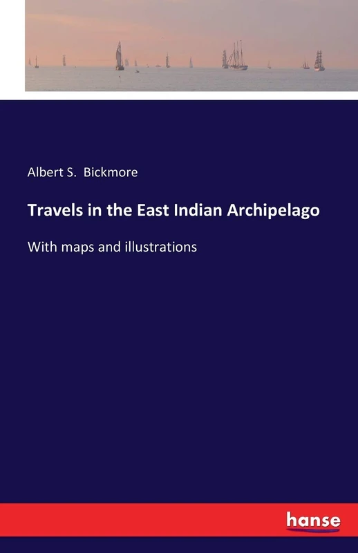 Travels in the East Indian Archipelago: With maps and illustrations