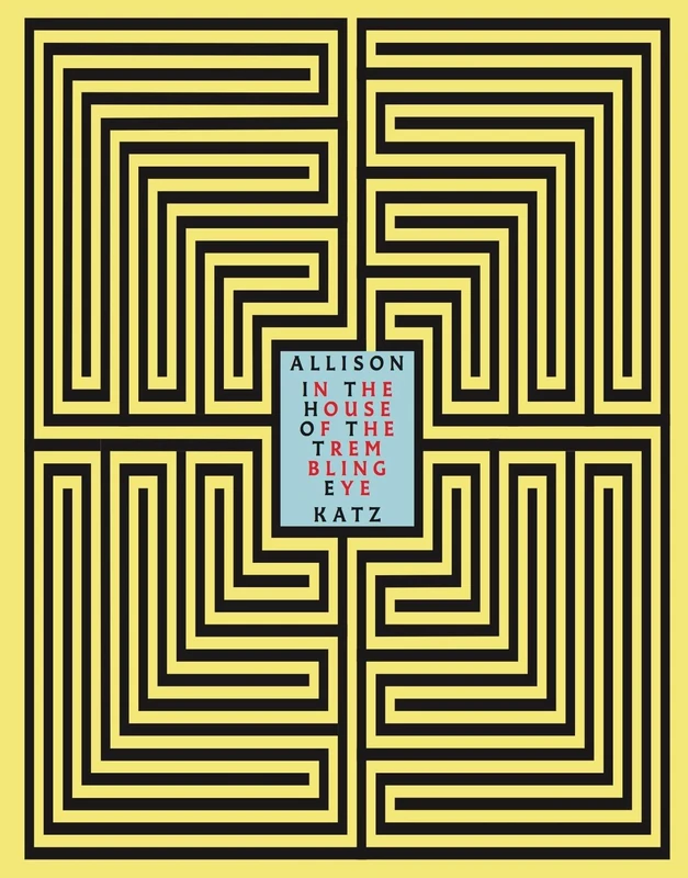 Allison Katz - In the House of the Trembling Eye