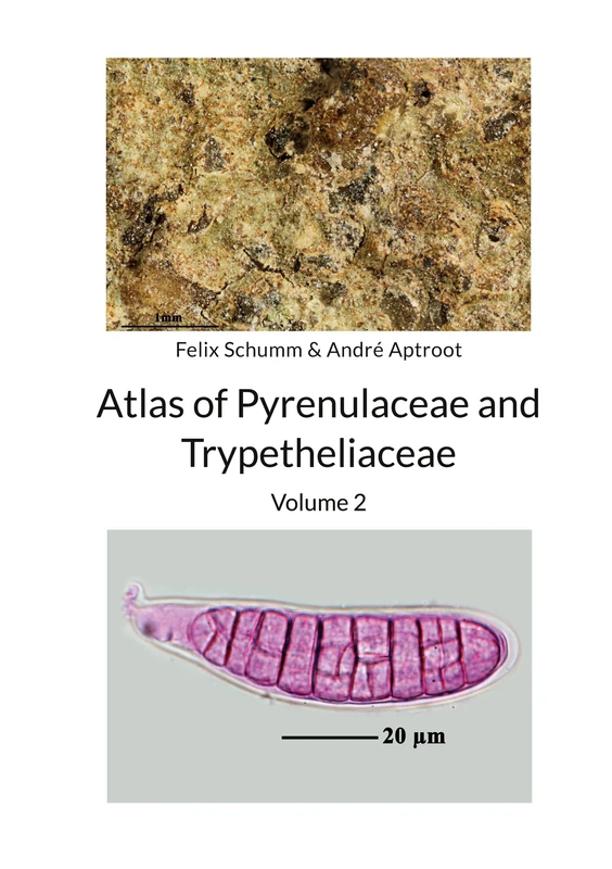 Atlas of Pyrenulaceae and Trypetheliaceae Volume 2: Lichenized Ascomycota
