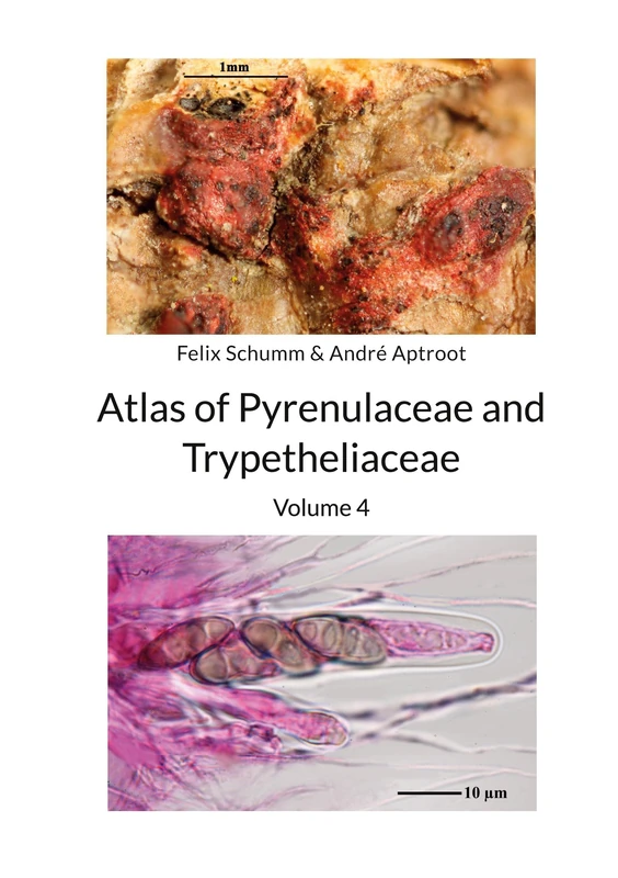 Atlas of Pyrenulaceae and Trypetheliaceae Vol 4: Lichenized Ascomycota - Image 1