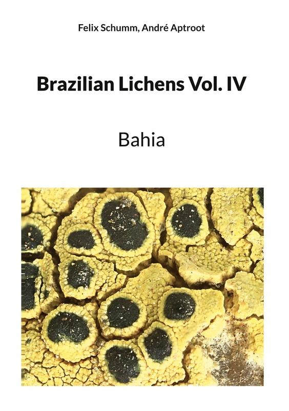 Brazilian Lichens Vol. IV: Bahia