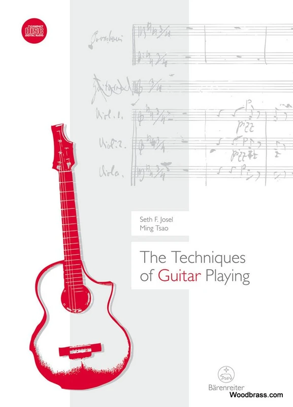 The Techniques of Guitar Playing