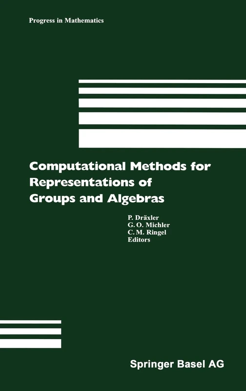 Computational Methods for Representations of Groups and Algebras: Euroconference in Essen (Germany), April 1-5, 1997: v173 (Progress in Mathematics)