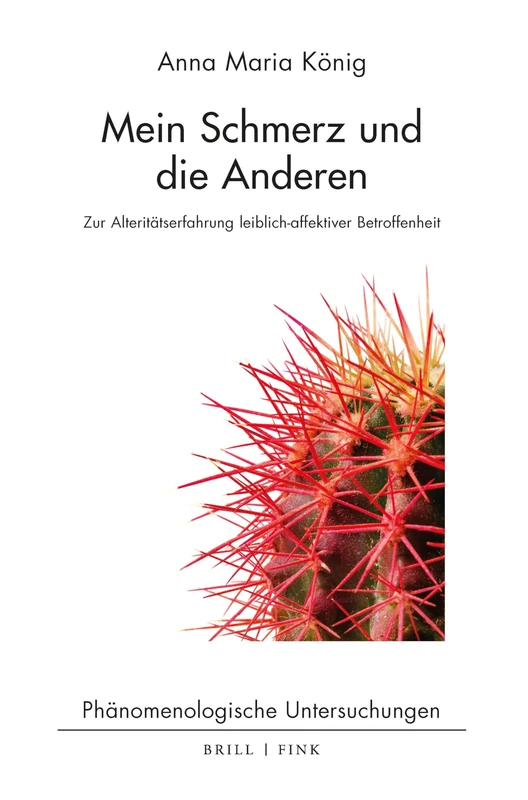 Mein Schmerz Und Die Anderen: Zur Alteritatserfahrung Leiblich-Affektiver Betroffenheit